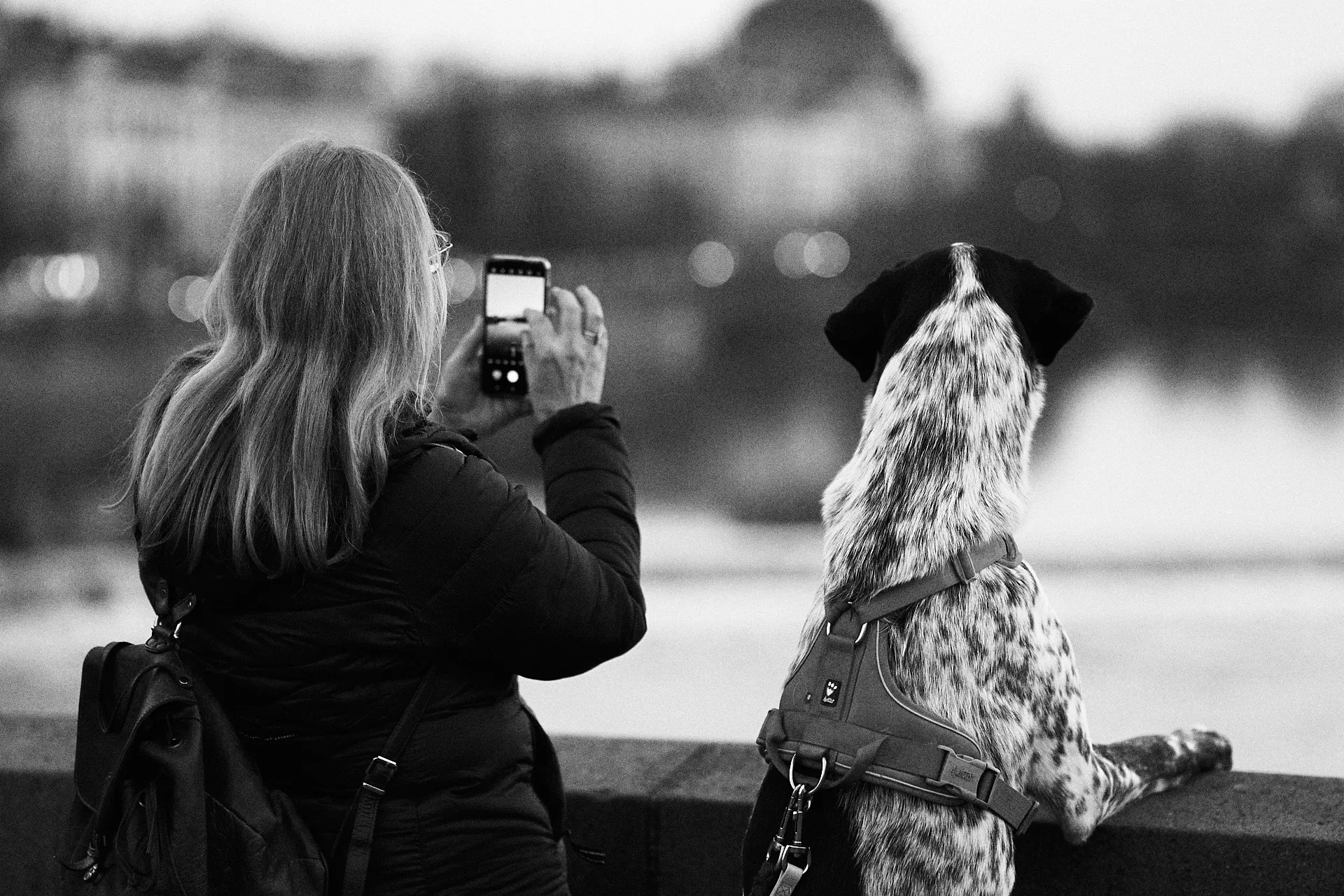 Prague Strangers photograph by Michal Hotovec