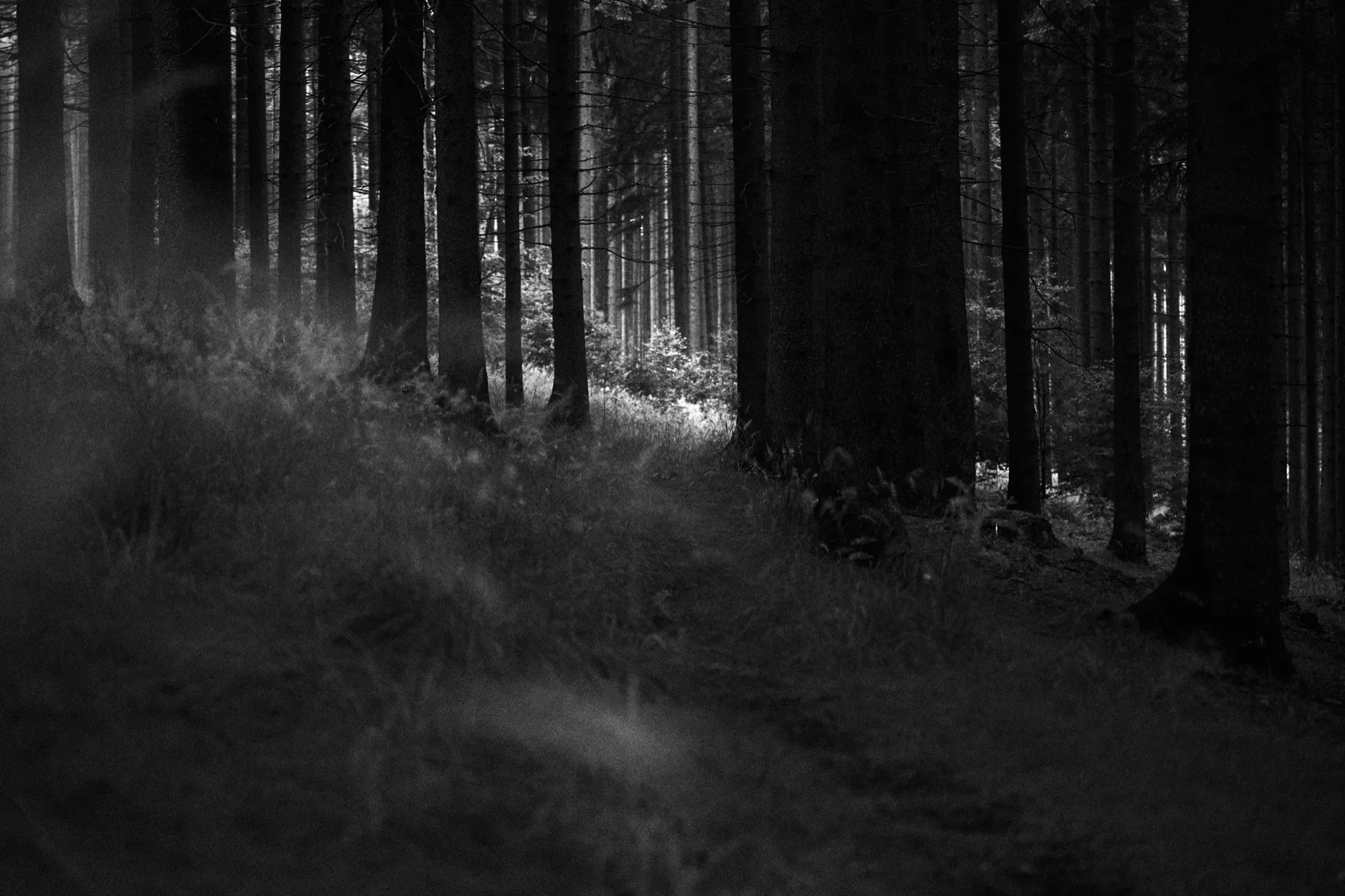 Beskydy photograph by Michal Hotovec