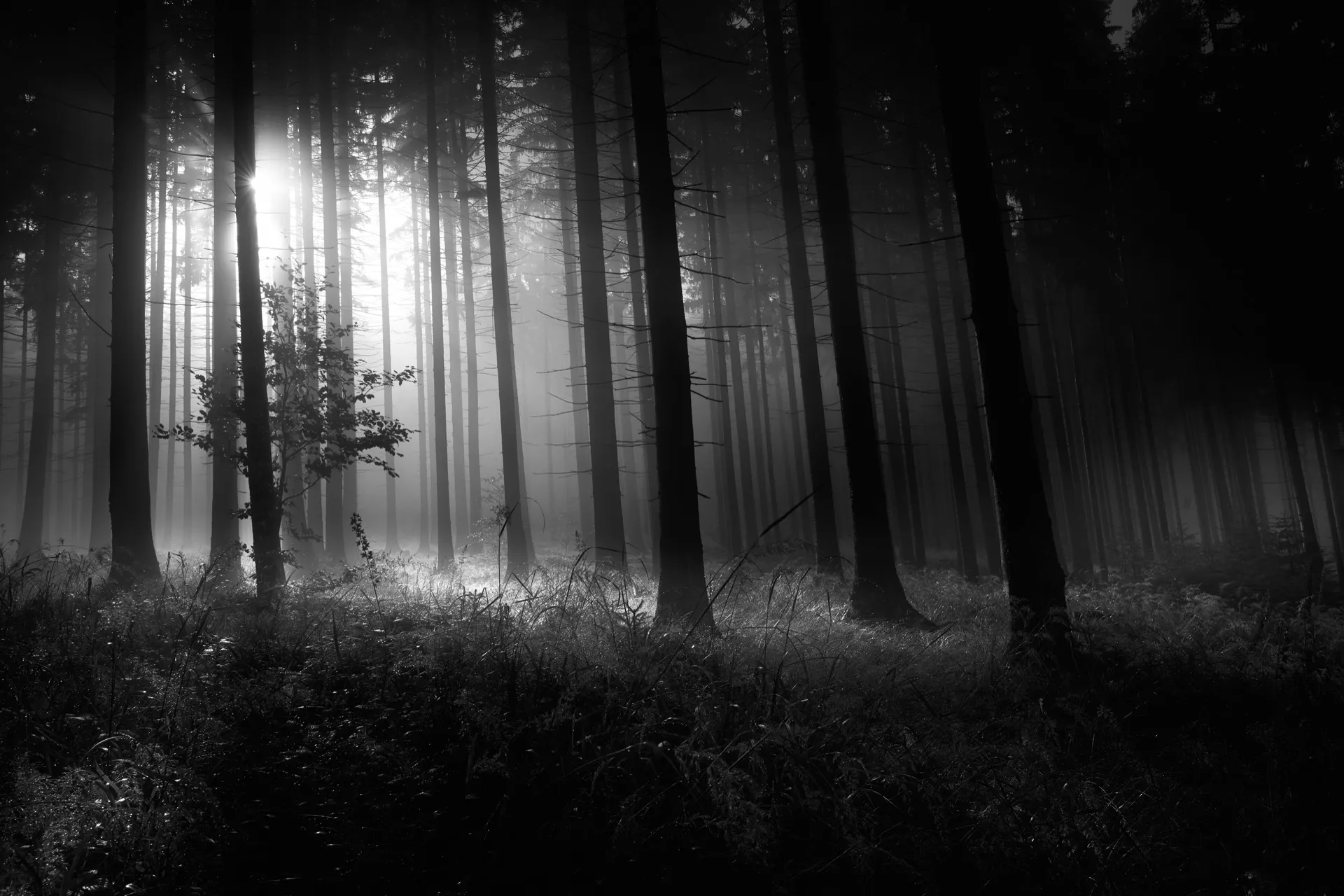 Beskydy photograph by Michal Hotovec