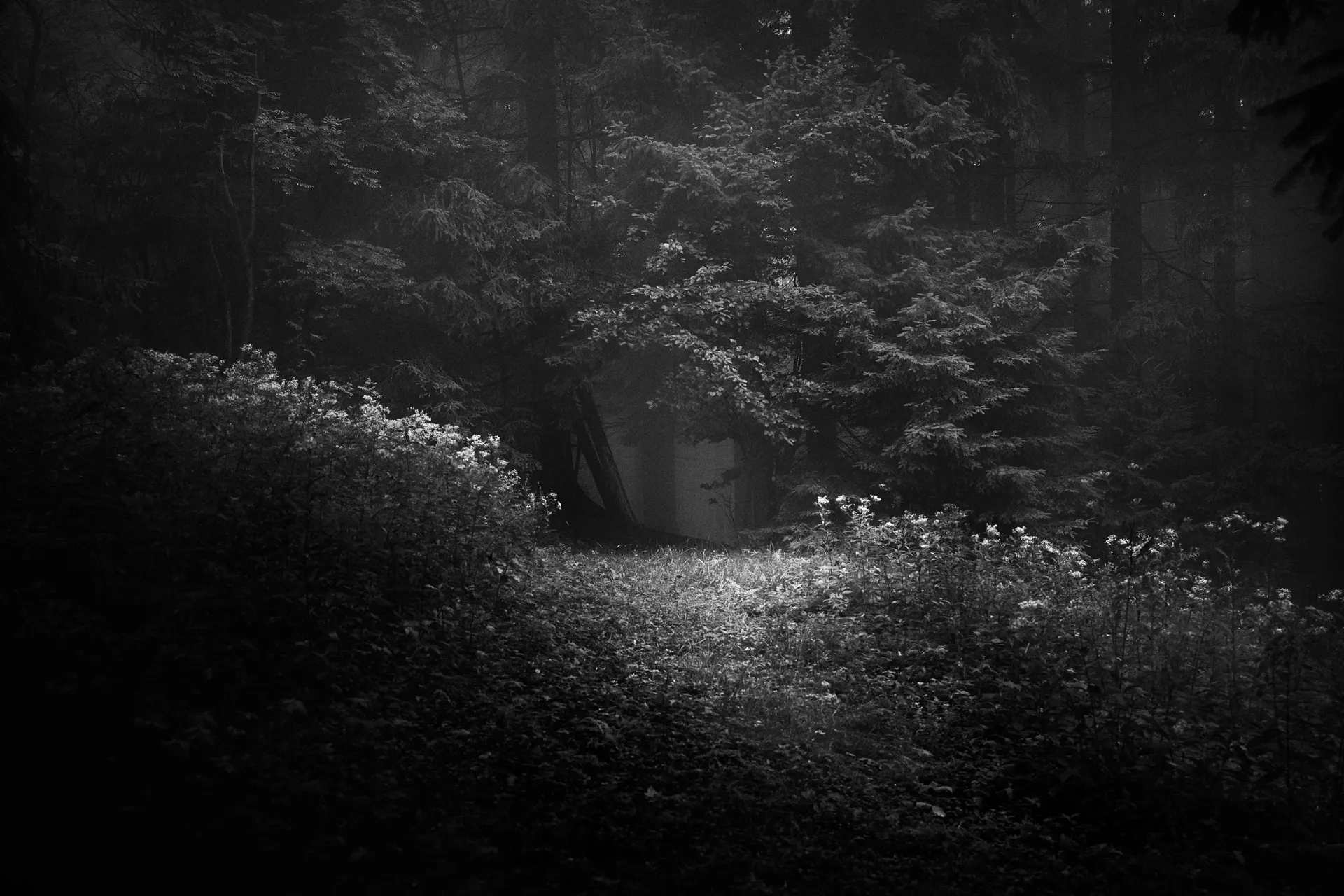 Beskydy photograph by Michal Hotovec