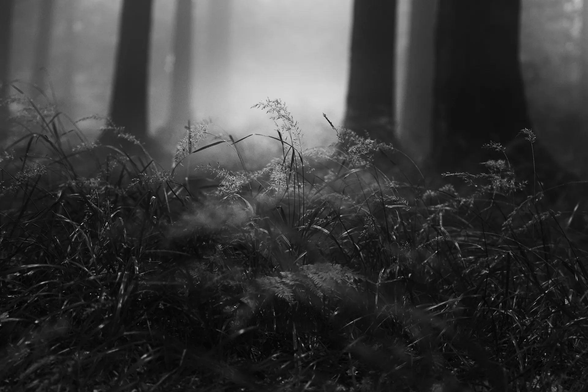 Beskydy photograph by Michal Hotovec
