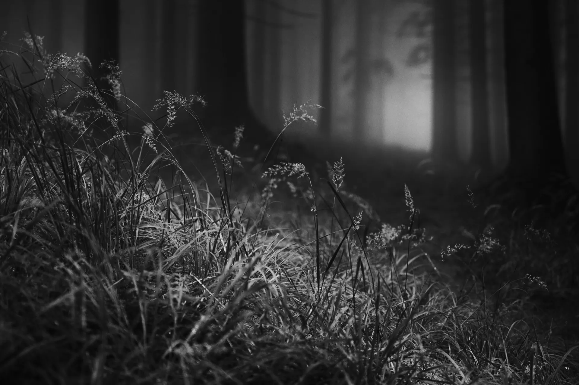 Beskydy photograph by Michal Hotovec