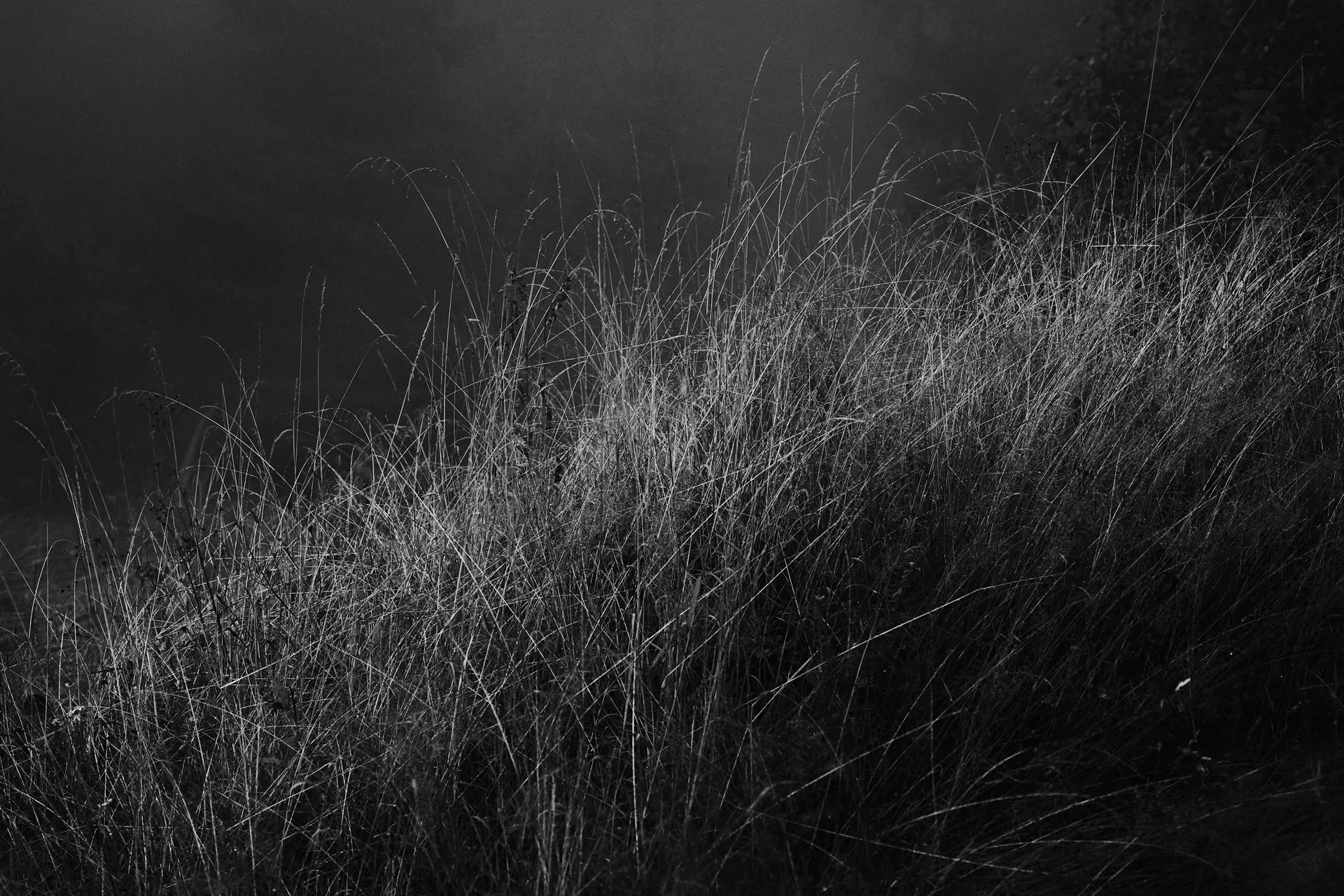 Beskydy photograph by Michal Hotovec