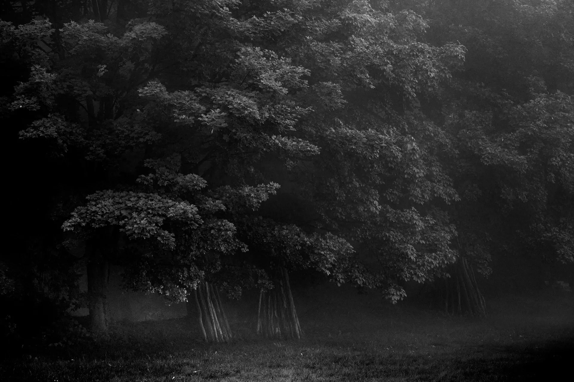 Beskydy photograph by Michal Hotovec