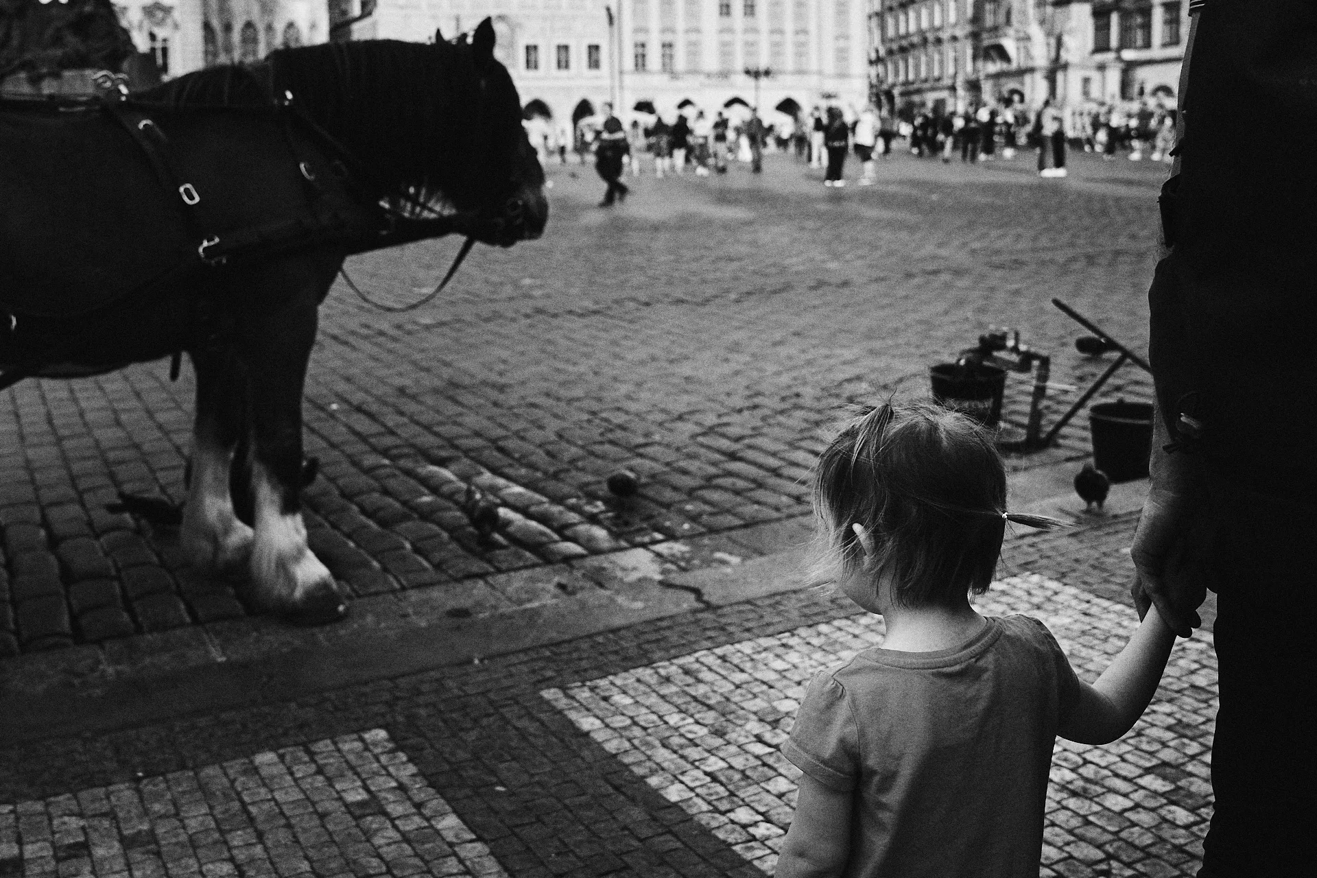 Prague Strangers photograph by Michal Hotovec