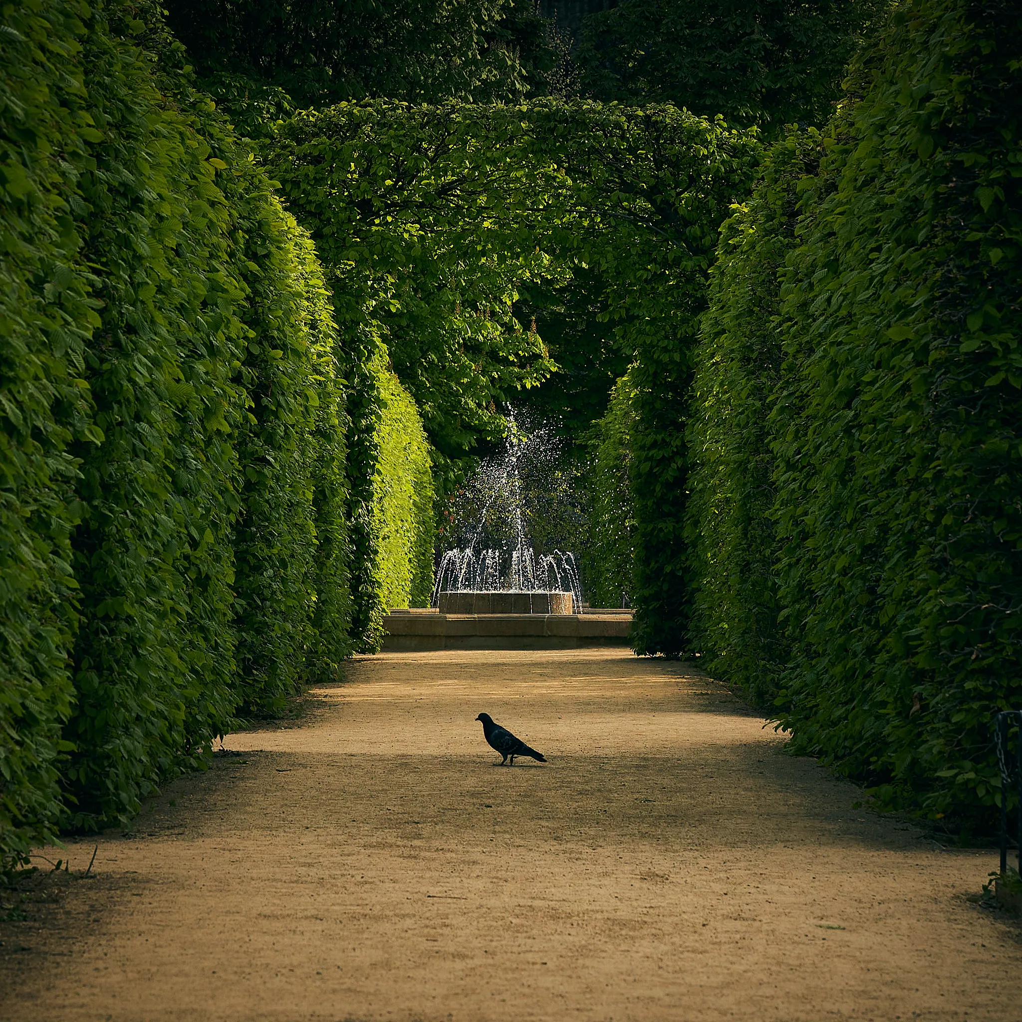 Street photograph by Michal Hotovec