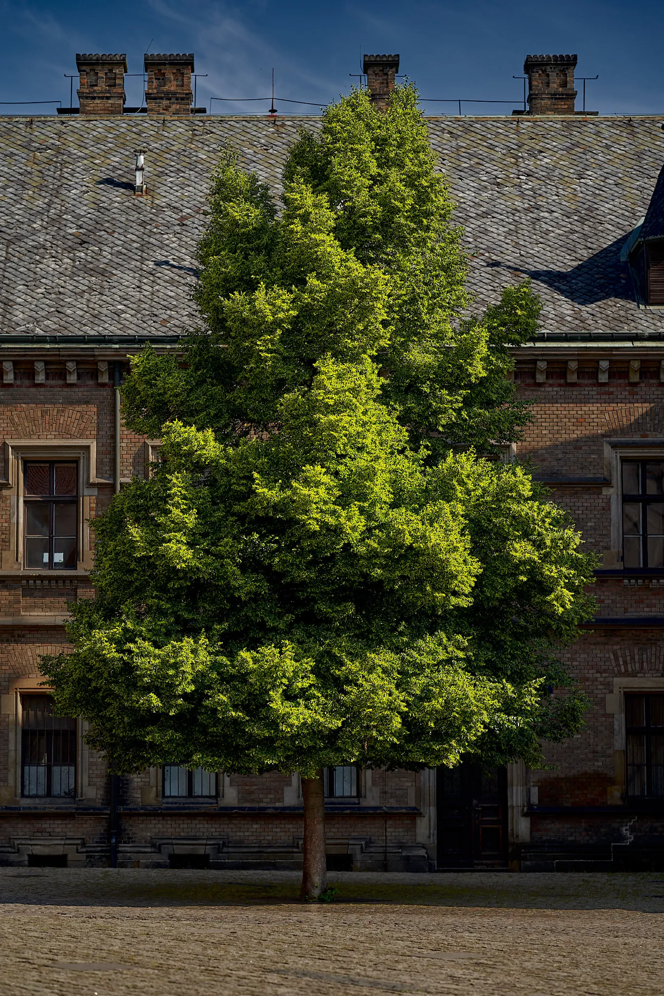 Street photograph by Michal Hotovec